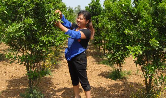 1594798496583855.jpg 1.jpg