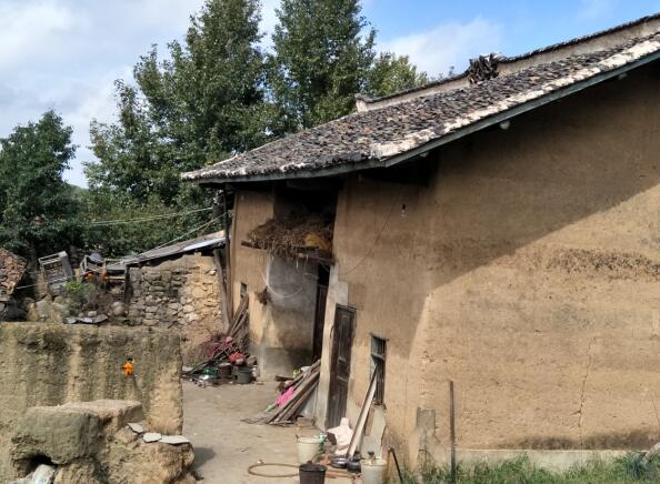 1594801249127257.jpg QQ截圖20200715161806.jpg