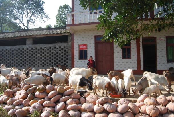 1594801643128660.jpg QQ截圖20200715162538.jpg