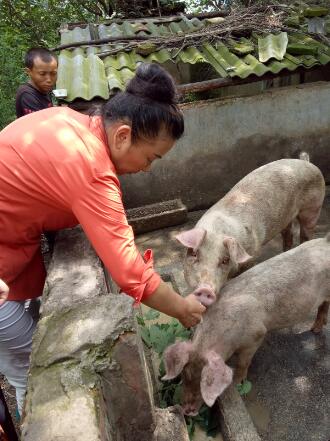 1594870213494263.jpg QQ截圖20200716113001.jpg