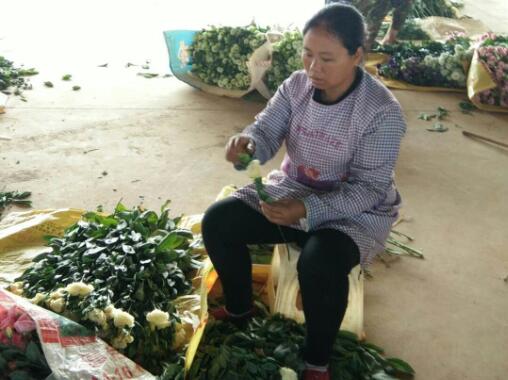 1596528599137800.jpg QQ截圖20200804160930.jpg