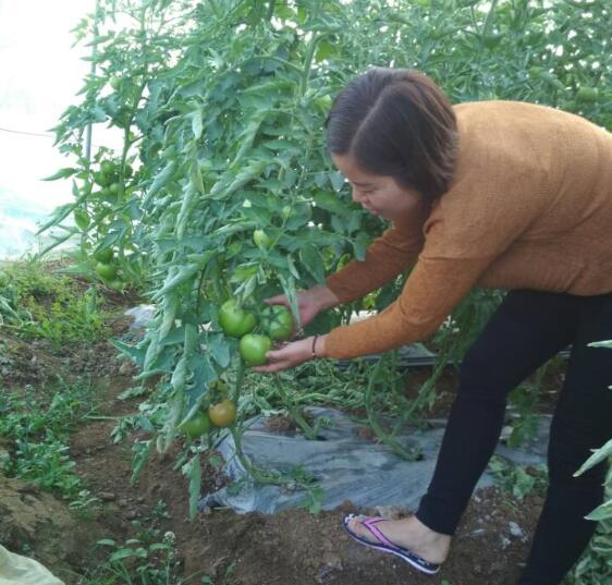 1596529460115243.jpg QQ截圖20200804162353.jpg