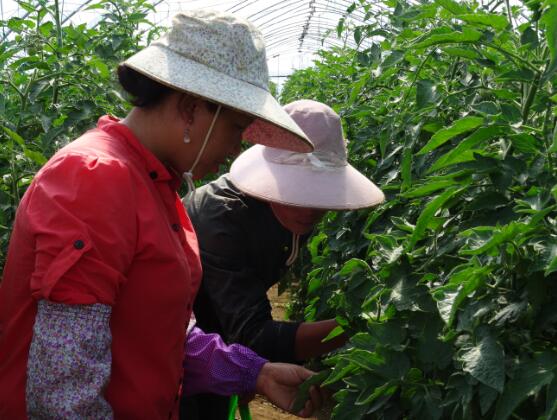 1596529866695823.jpg QQ截圖20200804163004.jpg