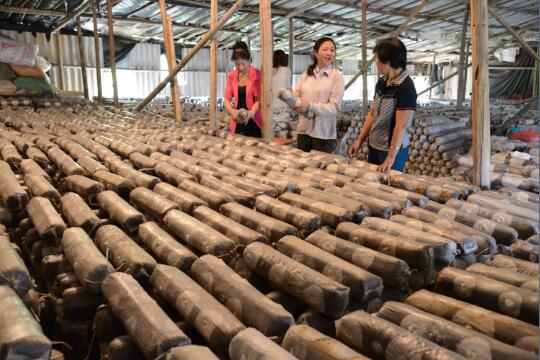 1597733353342963.jpg QQ截圖20200818144645.jpg