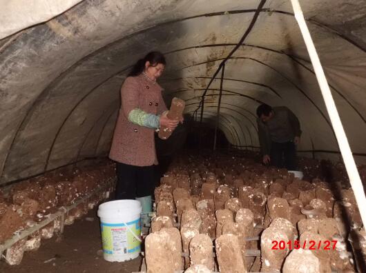 1597733362124361.jpg QQ截圖20200818144653.jpg