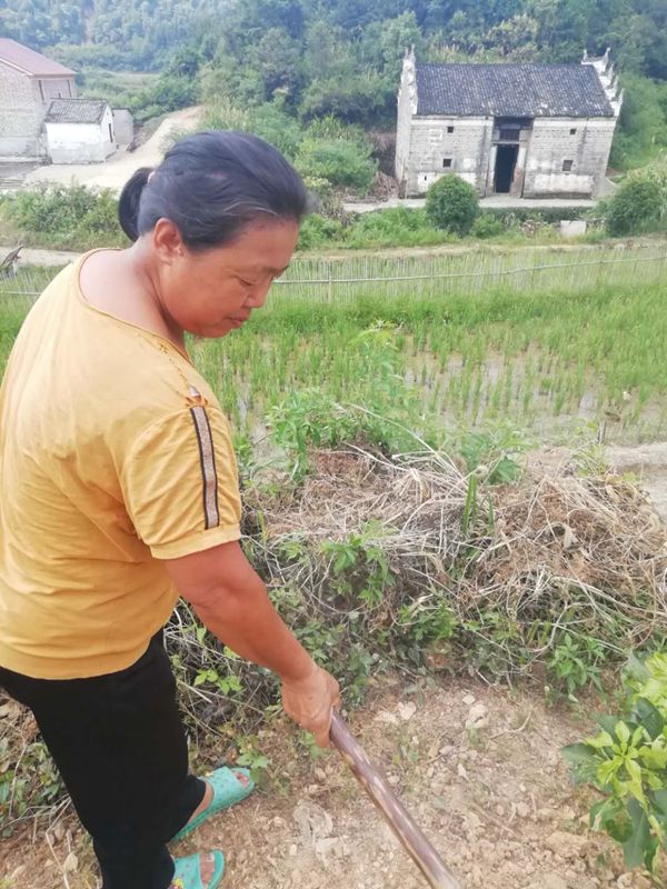 1598921300720524.jpg 1598843091134960.jpg