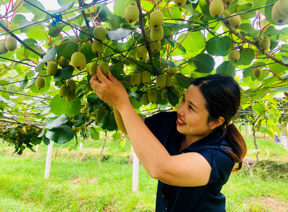 1599185664770484.png 1599185664770484.png