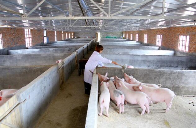 1600045719413105.jpg QQ截圖20200914090739.jpg