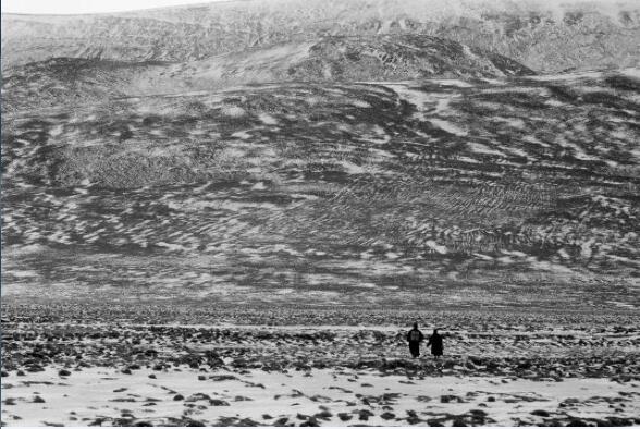 1600134780268346.jpg 8.jpg