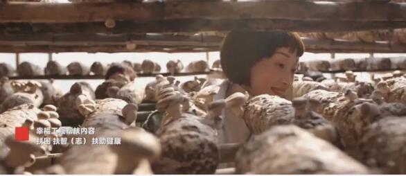 1600134870121168.jpg 12.jpg