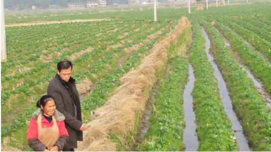 1602815616222775.jpg 1.jpg