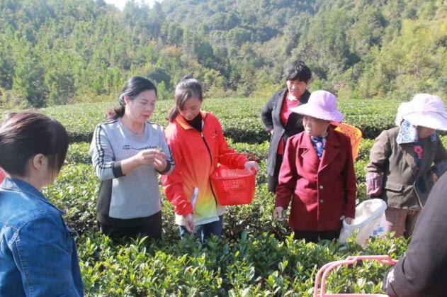 1603336797220666.jpg 2.jpg