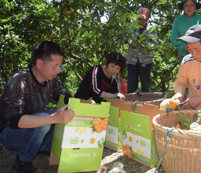 1609980495784985.jpg QQ截圖20210107084639.jpg