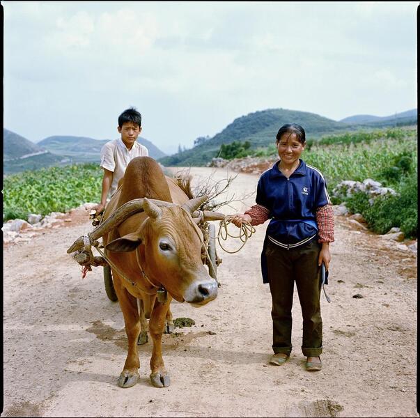 1612503582200614.jpg 1612503582200614.jpg