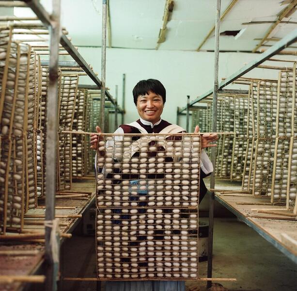 1612503605104898.jpg 1612503605104898.jpg