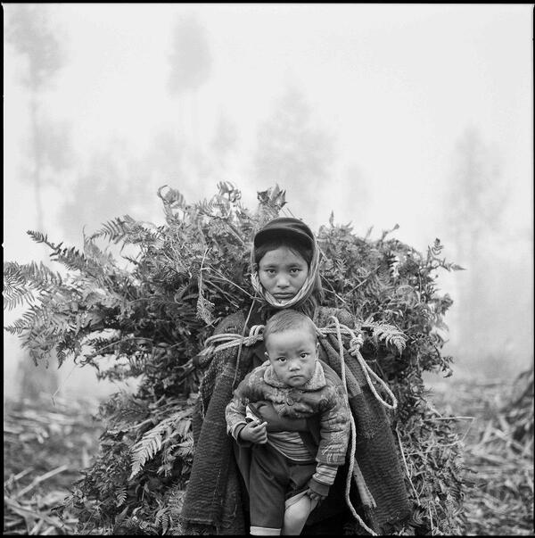 1612503619785373.jpg 1612503619785373.jpg