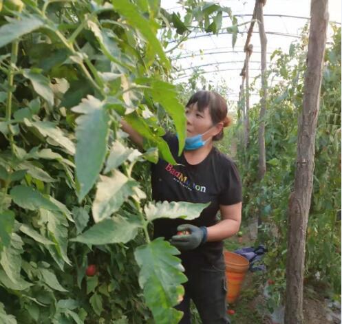 1617064482865455.jpg 22.jpg