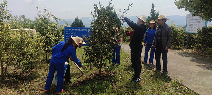 1617870074410996.png 3.png