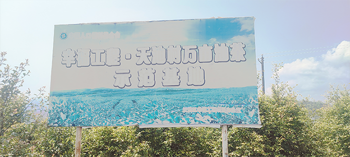 1617870098492713.png 1.png