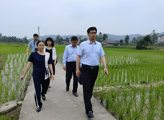 1622183803183616.jpg 1.jpg