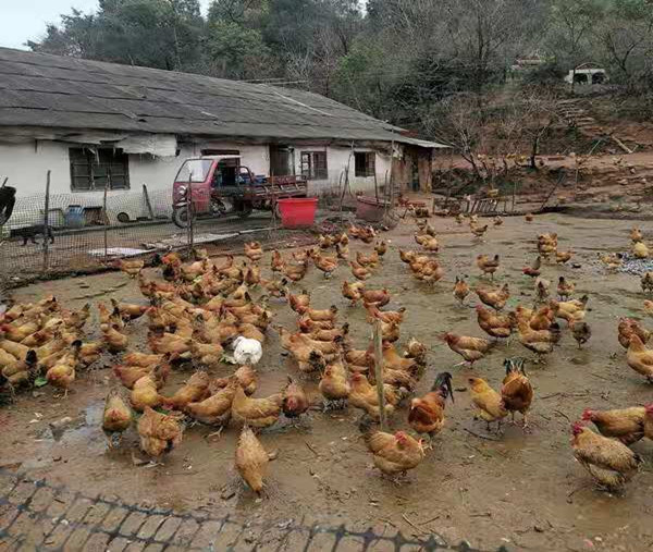 1622618664864465.jpg 15006a175c206c56449bc325981acc5_副本.jpg